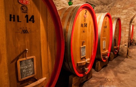 Image by Lauren Mowery