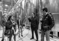 Matteo jibing Marcello in the cellar