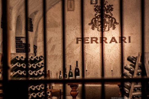 Image by Lauren Mowery