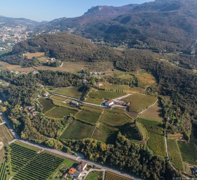 View of high altitude vineyards