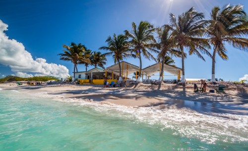 Cow Wreck beach bar on Anegada