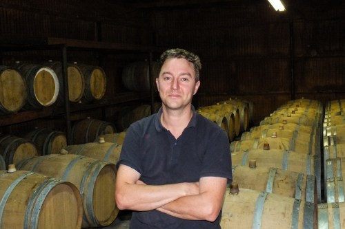 Alkoomi Andrew Cherry