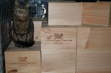Hunter Smith Wine Cat Bazil 2