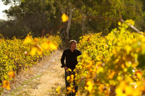 Tim Smith Barossa Valley