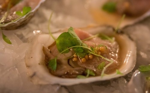Oysterstarter