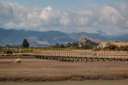 BikePathThroughFields