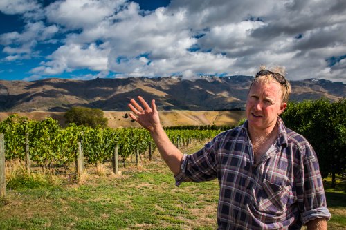 TomPNorthburnVineyard