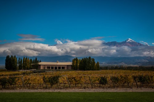 SalenteinWinery