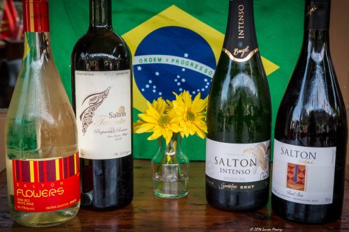 BrazilianWinesSaltonorig