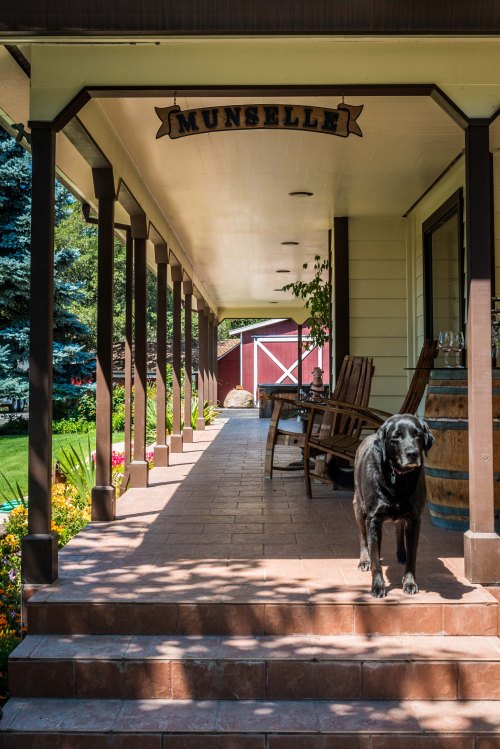 Munselledogporchcrop