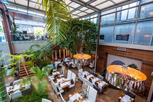 VineyardHotelDiningRoomTopView