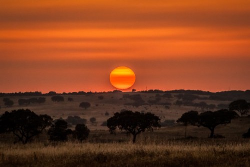 AlentejoSunPortugal