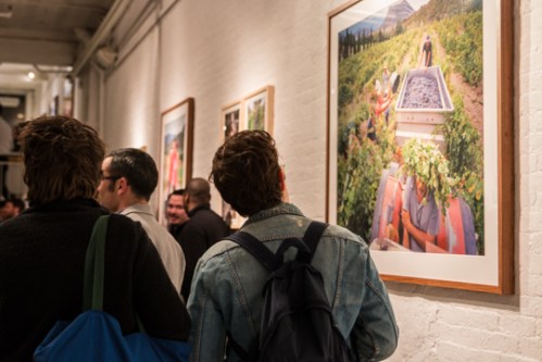 CorsicanWineTasting11