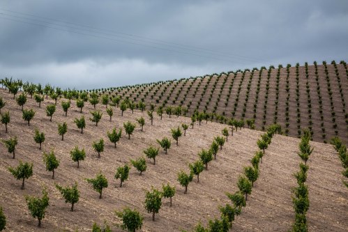 headtraindryfarmadelaida