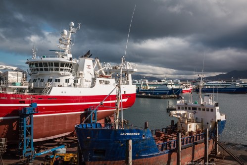 View from my room at the Marina Hotel.
