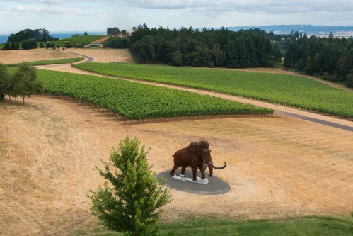 DomaineSereneViewWoolly