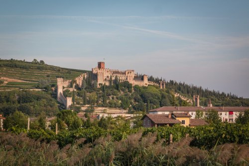 CastleofSoave