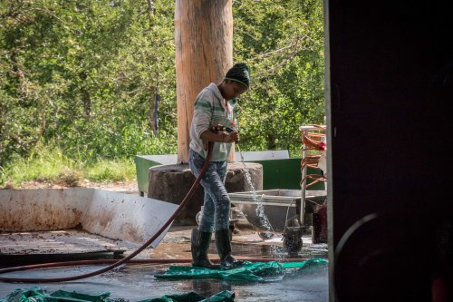 Winemaking IS washing.