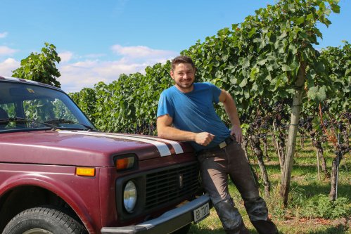 GraubundenObrechtVineyard