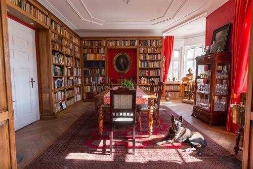 Dr. Loosen's Cozy Living Room. 