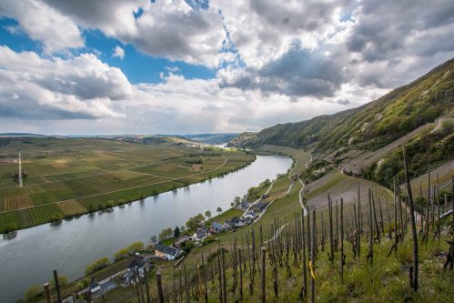 Mosel Valley in April. (Photo by Lauren Mowery)